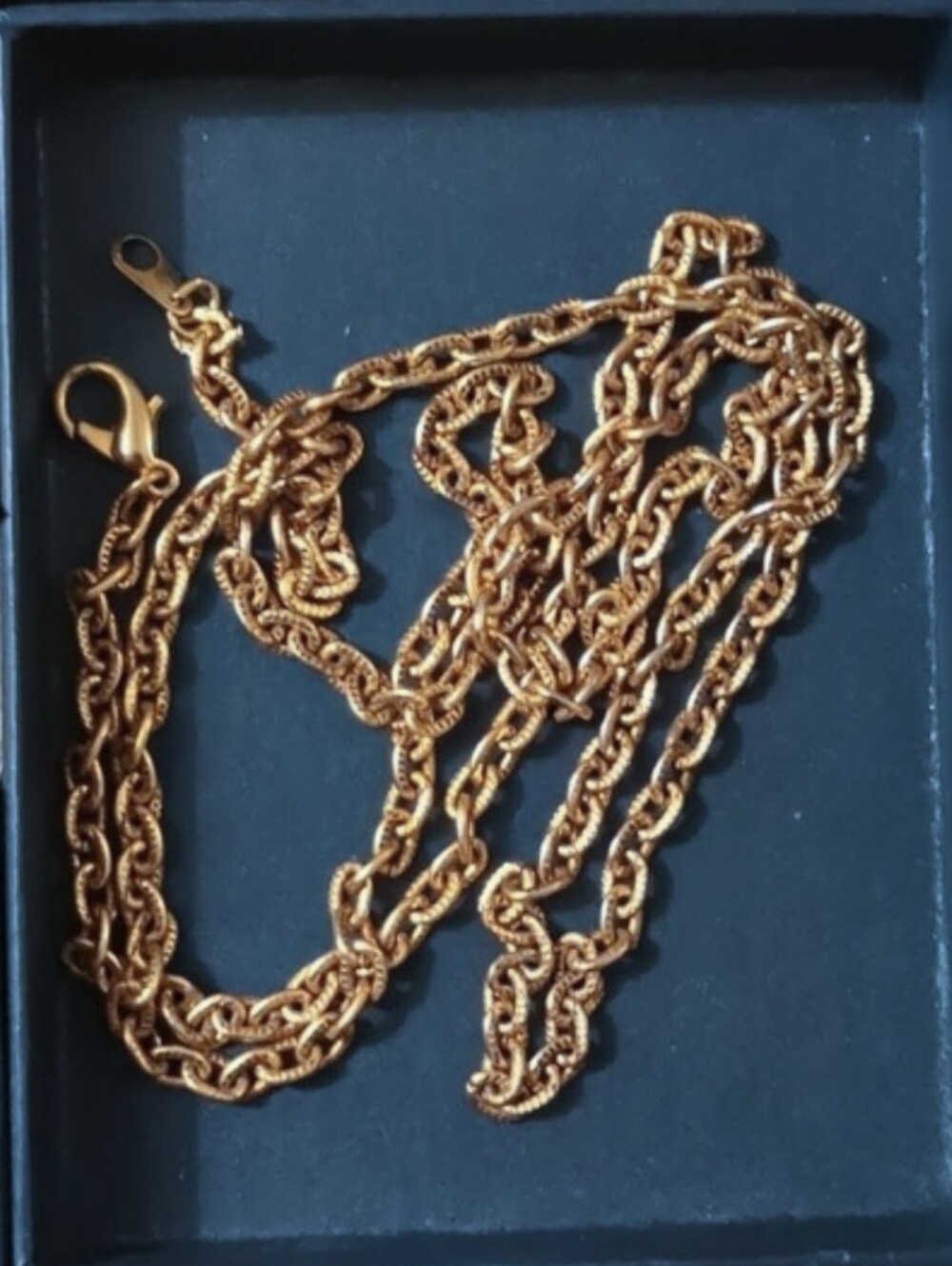 Stella And Dot Long Chain Necklace In Gold